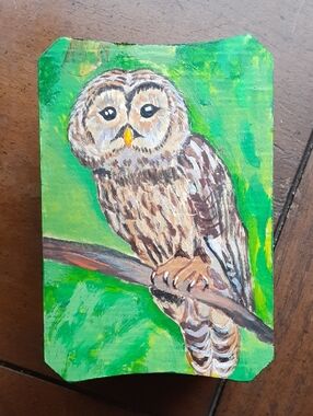 Hand-Painted Wooden Trinket Box - owl